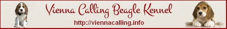 Vienna Calling Beagli kennel
