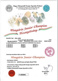 Lrry Hubgaria Junior Champion bizonyítvány